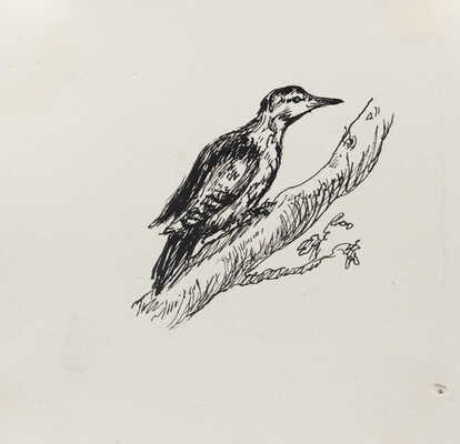 Симоновская (Гумилёва) Наталья Викторовна. Две иллюстрации к рассказу В.В. Архангельского "Тук Тукыч" (из сб.: Рассказ за рассказом: Избранные рассказы советских писателей. В 2 т. М.: Детгиз, 1954-1955)